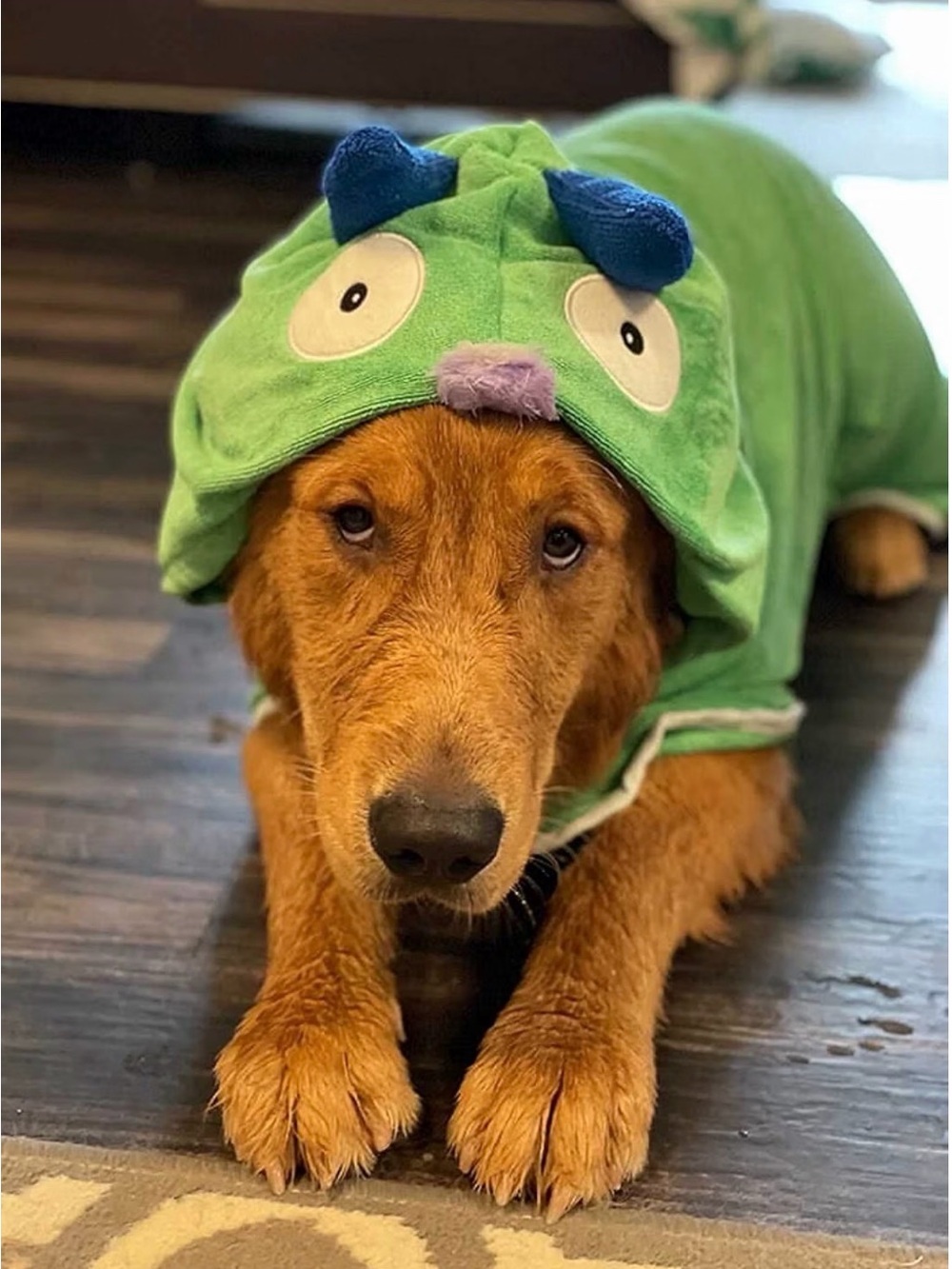 Green Cartoon Monster Dog Towel